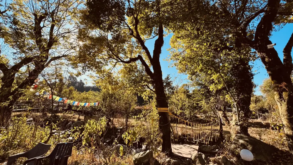 10-Day Detox Retreat