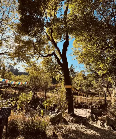 Wellness Encyclopedia: All About Collagen.